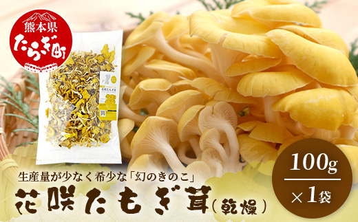 無農薬栽培【花咲 たもぎ茸 (乾燥) 100g 】幻 キノコ タモギダケ ヒラタケ 健康 栄養豊富 出汁 だし エルゴチオネイン タモギ茸 115-0606