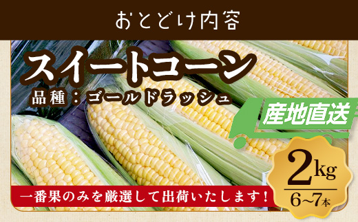 【数量限定】多良木町産 スイートコーン 約 2kg (6～7本) 5月上旬～順次配送 ゴールドラッシュ 一番果 甘い トウモロコシ 旬の味覚 産地直送 コーン とうもろこし 熊本県 089-0690