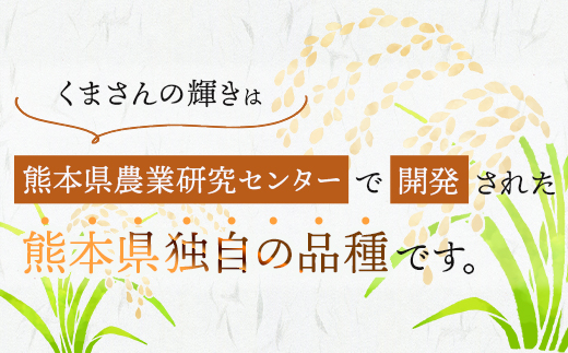 【R6年産米 定期便２回】多良木町産 『くまさんの輝き』 10kg×2回 計20kg【 定期便 定期配送 精米 お米 米 艶 粘り 甘み うま味 もちもち 熊本のお米 20キロ 熊本県 多良木町 】 044-0587