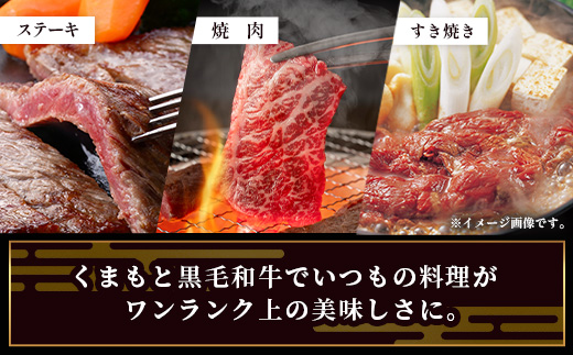 【定期便12回】くまもと 黒毛和牛 を味わい尽くす！1年12回配送 定期便 【合計 9.06kg】本場 熊本 黒毛 和牛 ブランド 牛 肉 すき焼き 焼肉 しゃぶしゃぶ ハンバーグ ステーキ ローストビーフ 上質 熊本 113-0550