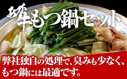 あか牛 もつ鍋 セット (2〜3人前) ホルモン 500g もつ鍋スープ付 【 ホルモン もつなべ 鍋 あか牛 牛肉 肉 熊本産 国産牛 和牛 赤身 ヘルシー 熊本県 多良木町 】046-0239