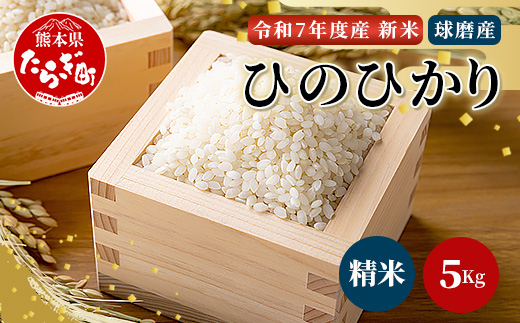 【令和7年度産 新米】球磨産 ひのひかり 精米 5kg お米 ヒノヒカリ 新米 お米 白米 036-0180