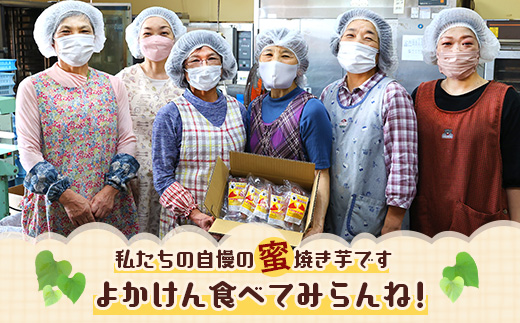 【11月～順次発送】 紅はるか 蜜 焼き芋 合計1.2kg (120g 個包装 ×10 パック) 国産 真空袋 真空パック 焼芋 やきいも 焼きいも 焼き芋 さつまいも 常温 042-0581