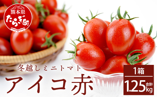 【産地直送】熊本県産 ミニトマト「アイコ (赤色)」約1.25kg 国産トマト アイコ とまと 甘い 熊本 多良木町 農園直送 新鮮 フルーツトマト フルーティ 020-0532