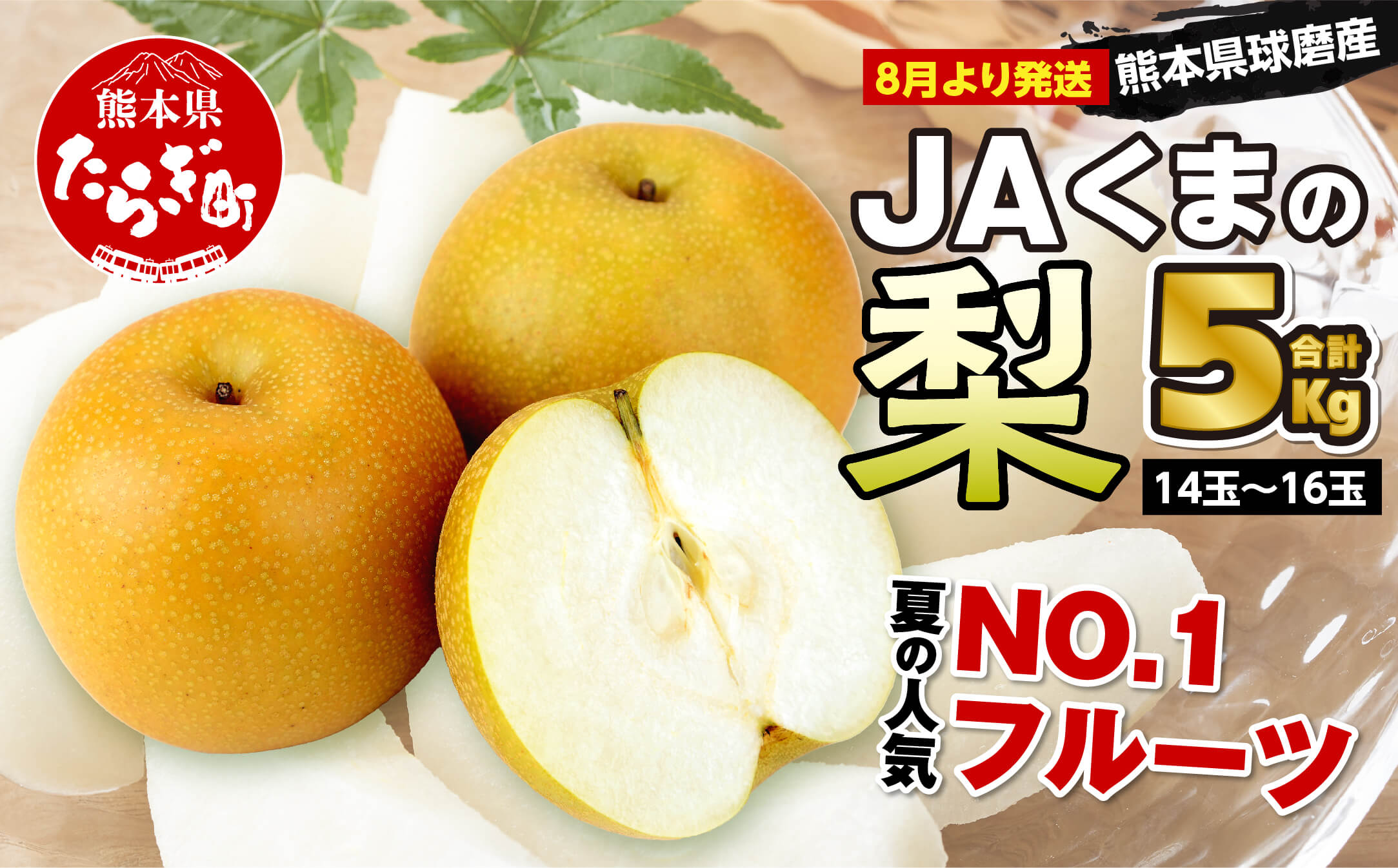 【数量限定・先行受付】JAくまの梨 5kg（14〜16玉）≪2024年8月上旬発送開始≫【 梨 なし ナシ 豊水梨 秋月梨 新興梨 熊本県 旬 くまの梨 期間限定 】004-0671