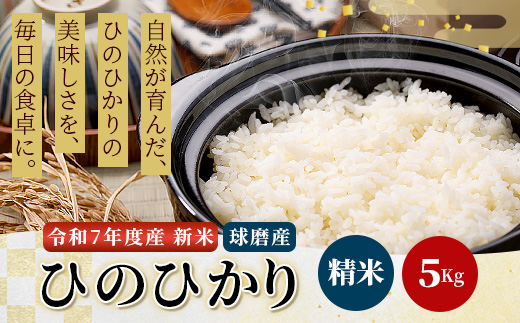 【令和7年度産 新米】球磨産 ひのひかり 精米 5kg お米 ヒノヒカリ 新米 お米 白米 036-0180