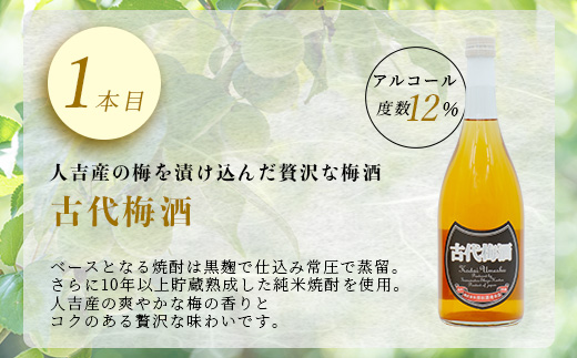 たらぎの 梅酒 セット 720ml × 2本 ≪古代梅酒≫≪ 梅酒文蔵≫ 球磨焼酎 多良木町 米 焼酎 梅 うめ酒 お酒 球磨 贈り物 ギフト 熊本県 多良木町 015-0689