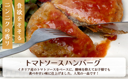 温めるだけ！ レンチン バーグ ≪トマトソース・ホワイトソース≫ 合計10個 ハンバーグ 湯煎 レンジ 簡単 大容量 レトルト ハンバーグ トマト ホワイト 2種 セット 温めるだけ 簡単 冷凍 レンジ 湯せん 個包装 067-0706