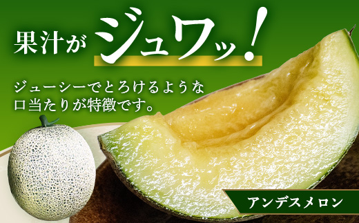 【2025年4月中旬発送開始】【先行予約】熊本県産 ホームランメロン アンデスメロン 食べ比べ 計2玉 約2.5kg以上 メロン フルーツ 果物 083-0625