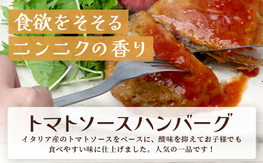 温めるだけ！ レンチン ハンバーグ ≪4種のソース お楽しみセット≫ 10個 ※2025年1月以降発送分※ ハンバーグ トマトソース ホワイト ブラウンシチュー ペッパー レンジ 簡単 大容量 レトルト ハンバーグ 冷凍 レンジ 湯せん 個包装 067-0705