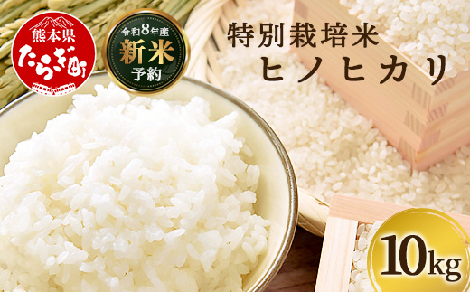 【令和8年産 新米予約】特別栽培米「ヒノヒカリ」10kg 精米 井上農園 10月より順次出荷 熊本県 お米 白 米 精米 ひのひかり 国産 114-0601