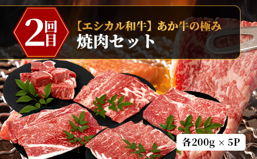 【 定期便4回 】【 エシカル和牛 】あか牛の極み お試し4回定期便 ( 合計3.6kg ) ステーキ ハンバーグ 焼肉 食べ比べ 焼肉 しゃぶしゃぶ すき焼き 熊本 あか牛 牛肉 赤身 和牛 国産 033-0508