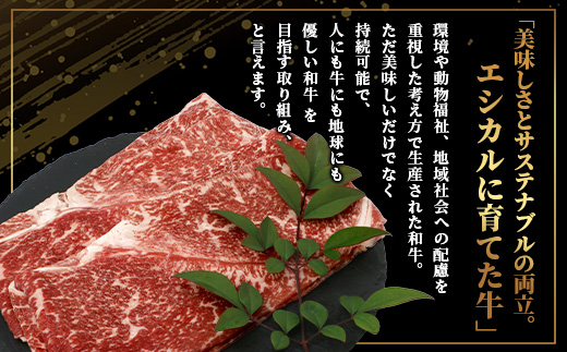 【エシカル和牛】くまもとあか牛【あか牛の極み】モモ焼きしゃぶ 200g×3 (計 600g) モモ 赤身 熊本 あか牛 牛肉 小分け しゃぶしゃぶ 焼きしゃぶ すき焼き 和牛 国産 SDGs 033-0513