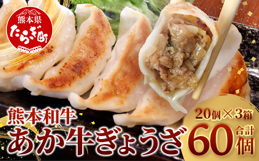 【餃子】 熊本和牛 あか牛 ぎょうざ セット ≪ 熊本あか牛餃子20個入り×3箱 合計60個 ≫ 熊本県 和牛 あか牛 冷凍 生餃子 ぎょうざ おかず 総菜 お弁当  046-0640