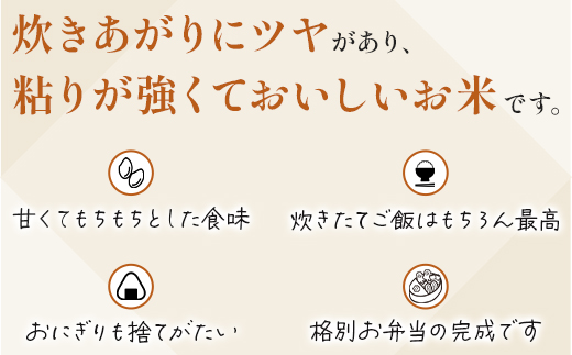 【R6年産米 定期便6回】多良木町産 『くまさんの輝き』 10kg(5kg×2袋)×6回 【計 60kg 】 定期便 定期配送 精米 お米 米 艶 粘り 甘み うま味 もちもち 熊本のお米 10キロずつ 半年 毎月届く 6回 熊本県 多良木町 044-0590