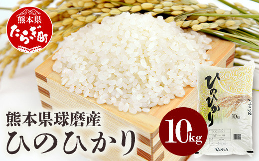 【令和7年度産 新米】球磨産 ひのひかり 精米 10kg (5kg×2) お米 ヒノヒカリ 新米 お米 白米 036-0505