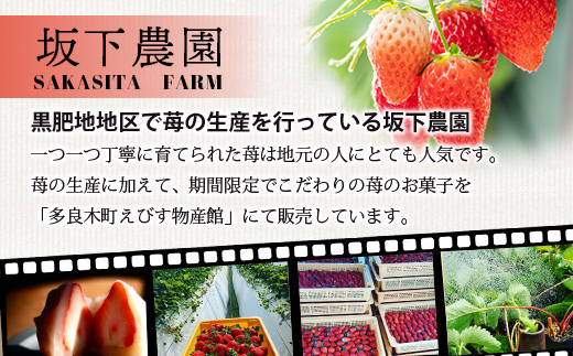 《2026年1月〜発送》熊本県産いちご 恋みのり 約260g×2パック産地直送 国産 新鮮 フレッシュ 果物 苺 イチゴ 103-0003