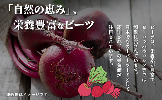 熊本県産 ビーツ の粉末セット (粗粉末100g×1袋・微粉末100g×1袋) あさぎり農園 スーパーフード 栄養豊富 美容 健康 115-0603