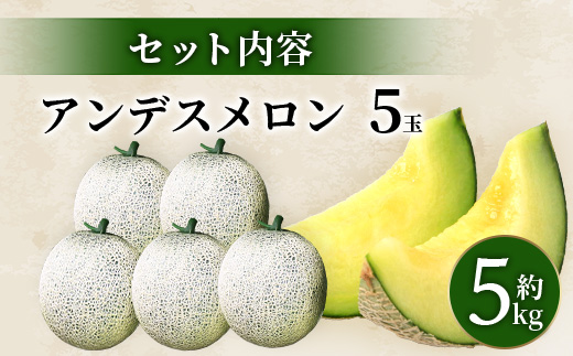 【2025年4月中旬発送開始】熊本県産 アンデスメロン 5玉 約5kg 【 アンデス メロン フルーツ 果物 くだもの 熊本県 多良木町 】 083-0696