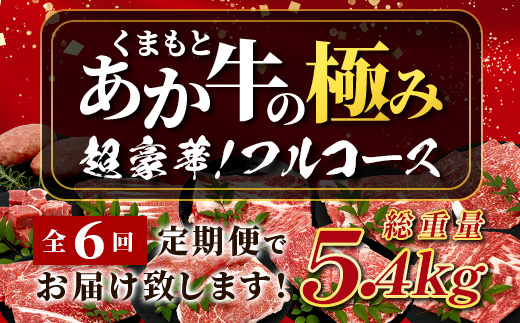 【 定期便6回 】【 エシカル和牛 】 あか牛の極み 食べ比べ定期便 【 合計6kg 】 ステーキハンバーグ 焼肉 食べ比べ 焼肉 しゃぶしゃぶ すき焼き 熊本 あか牛 牛肉 赤身 和牛 国産 033-0509