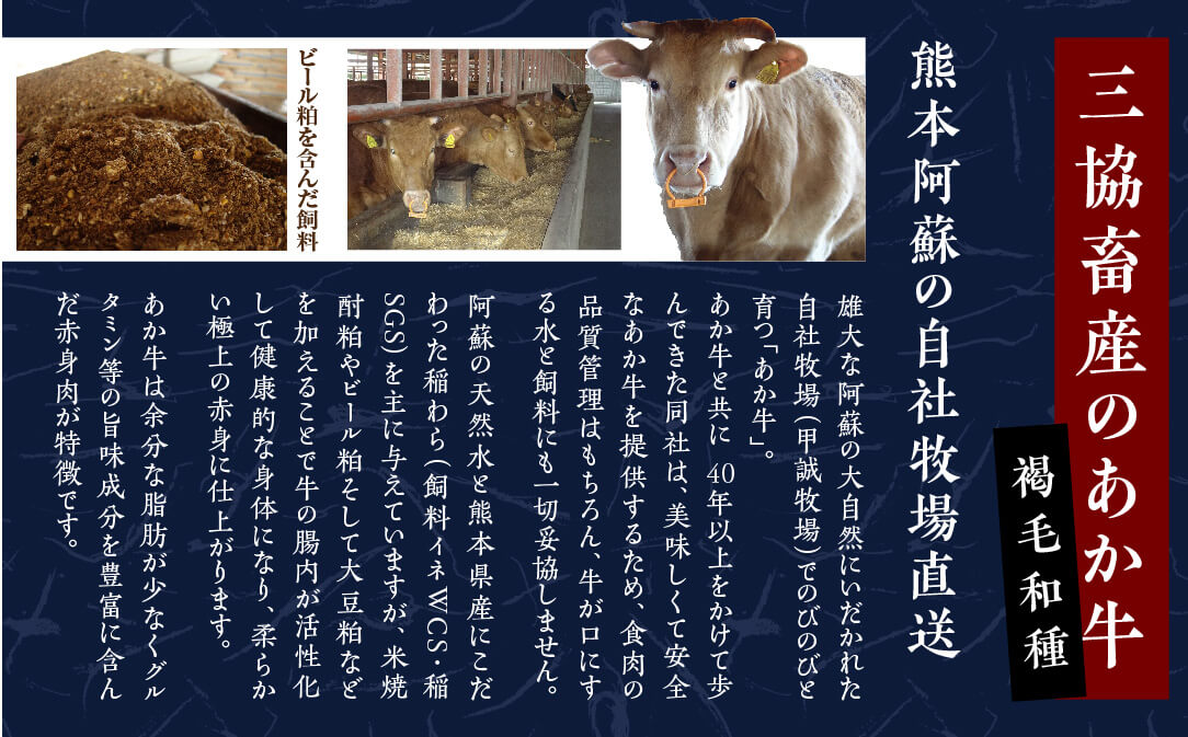 あか牛 ローストビーフ 200g セット あか牛のタレ 200ml 付 【 ローストビーフ あか牛 牛肉 モモ 肉 熊本産 国産牛 和牛 赤身 ヘルシー 熊本県 多良木町 牛肉 】046-0163