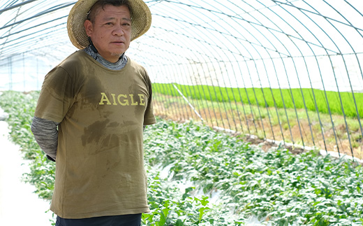 ã8æäžæ¬ïœçºéãå°çã¹ã€ã« ã²ãšããã BonBonãªãã 2ç (1ç1kgã2kg) 什å7幎 å€ ã¹ã€ã« é£ã¹ãããµã€ãº 西ç ãã«ãŒã æç© æ¬ã®å³èŠ ããã çã ç£å°çŽé 082-0701