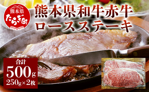 【ステーキ】 熊本県産 赤牛 ロースステーキ 2枚 計500g 【 和牛 ロース 牛肉 冷凍 ステーキ 】 030-0230