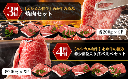 【 定期便6回 】【 エシカル和牛 】 あか牛の極み 食べ比べ定期便 【 合計6kg 】 ステーキハンバーグ 焼肉 食べ比べ 焼肉 しゃぶしゃぶ すき焼き 熊本 あか牛 牛肉 赤身 和牛 国産 033-0509