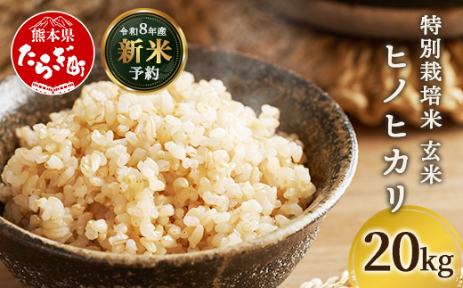 【令和8年産 新米予約】特別栽培米「ヒノヒカリ 玄米」20kg 井上農園 10月より順次出荷 熊本県 お米 米 精米 ひのひかり 玄米 国産 114-0604