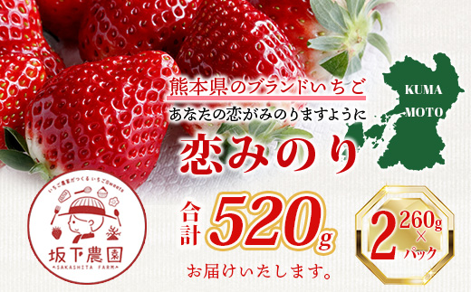 《2026年1月〜発送》熊本県産いちご 恋みのり 約260g×2パック産地直送 国産 新鮮 フレッシュ 果物 苺 イチゴ 103-0003
