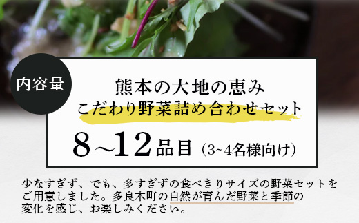 熊本の大地の恵み 旬の こだわり野菜詰め合わせセット 8〜12品 （3〜4名様向け）野菜 獲れたて 新鮮 野菜 セット 詰め合わせ 詰合せ 産地 直送 国産 季節 野菜 家族 ファミリー 多良木町 024-0809