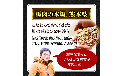 熊本県産 和牛 馬肉 しゃぶしゃぶ 食べ比べ セット 計900g 【 黒毛和牛 和牛 あか牛 赤牛 しゃぶしゃぶ用 高級 】 058-0685