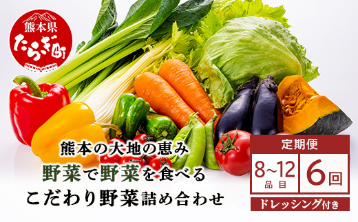 【定期便6回】熊本の大地の恵み≪ 野菜で野菜を食べる ≫ 旬のこだわり 野菜 ＆ドレッシング セット (3〜4名様向け) 野菜 獲れたて 8～12品 直送 旬 新鮮 定期便 野菜ドレッシング 詰め合わせ 詰合せ 熊本県 多良木町 024-0815