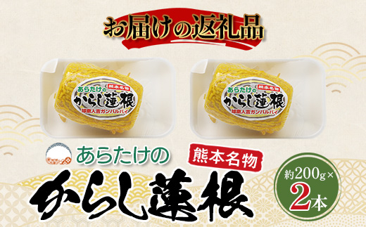 【熊本名物】あらたけの からし蓮根 2本セット (約200g×2本) 辛子 レンコン れんこん 熊本県 特産 名産品 ピリ辛 滋養 多良木町 老舗 あらたけ蒲鉾店 102-0503