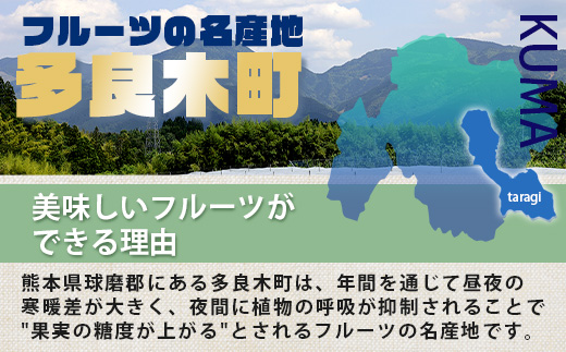 【フルーツ 定期便 3回】2025年発送 多良木町産 いちご・メロン・梨 各2種 食べ比べ 3回配送 数量限定 東光寺梨 西山果樹園 木村メロン園 坂下農園 イチゴフルーツ 果物 名産 熊本 多良木町 旬