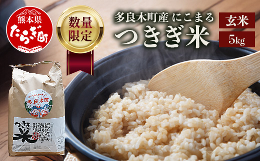 【令和8年産 玄米 】10月上旬～発送 多良木町産 にこまる 「つきぎ米」 玄米 5kg 玄米 ハサ干し米 多良木町 たらぎ 槻木 新米 お米 米 熊本県 5キロ 117-0502