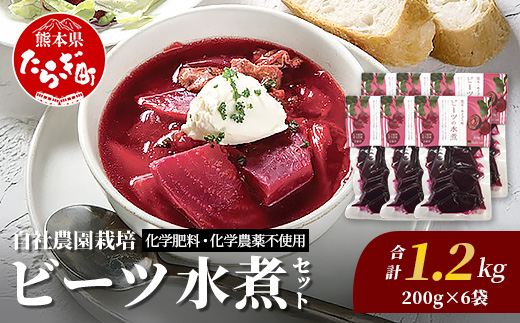 自社農園栽培 ビーツ 水煮 1.2kg(200g×6袋) 熊本県 産 国産 スーパーフード 高栄養 beet びーつ レトルト 水煮 サラダ シチュー スムージー あさぎり農園 野菜 根菜 美容 健康 115-0616
