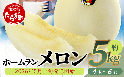【2026年5月上旬発送開始】【 先行予約 】ホームランメロン 5kg(4-6玉) 予約 ご予約 2026 令和8年 先行 メロン フルーツ デザート 果物 熊本県 多良木町 008-0661