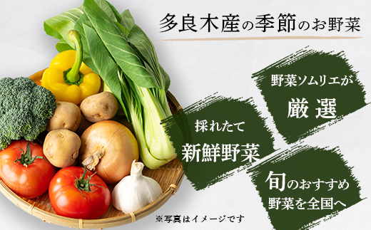 【定期便3回】熊本の大地の恵み 旬の こだわり野菜詰め合わせセット 8〜12品 （3〜4名様向け）3回配送 獲れたて 新鮮 野菜 セット 詰め合わせ 詰合せ 定期便 産地 直送 国産 季節 旬野菜 家族 ファミリー 多良木町 024-0810