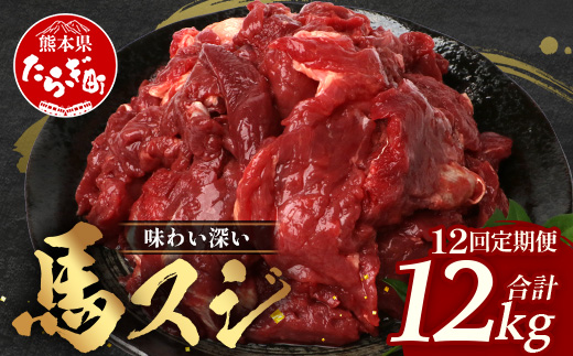 【 定期便 12回 】 熊本県 馬スジ 1㎏（ 500g×2 ） × 12回 【 合計 12kg 】 馬肉 すじ肉 大容量 本場 熊本県 馬 赤身 煮込み カレー シチュー 冷凍 041-0169