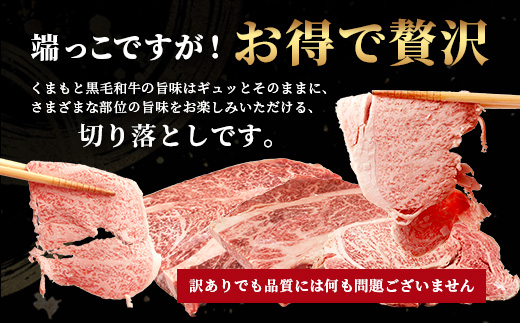 【訳あり】くまもと黒毛和牛 の 端っこ (不揃い) 切り落とし 切れ端 500g 本場 熊本県 ブランド 牛 黒毛 和牛 上質 国産 牛肉 熊本県