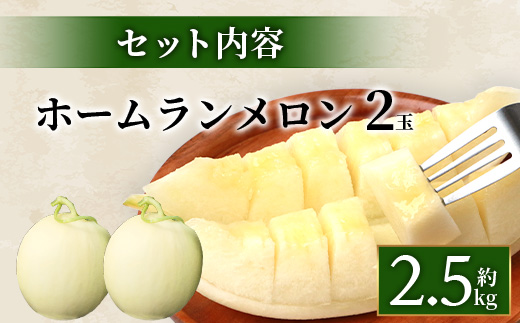 【2025年4月中旬発送開始】熊本県産 ホームランメロン 2玉  約2.5kg以上 【 ホームラン メロン フルーツ 果物 くだもの 熊本県 多良木町 】 083-0699