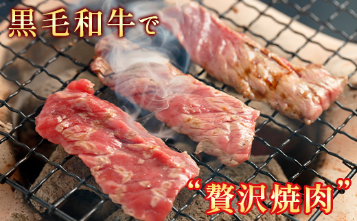 【定期便2回】くまもと黒毛和牛 焼肉用 500g ×2回配送 ブランド 黒毛和牛 焼肉 焼き肉 やきにく 肉 牛肉 多良木町 国産 和牛 030-0703