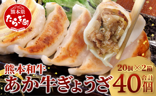 【餃子】 熊本和牛 あか牛 ぎょうざ セット【40個】(20個入り×2) 熊本県 和牛 あか牛 冷凍 生餃子 ぎょうざ おかず 総菜 お弁当  046-0632