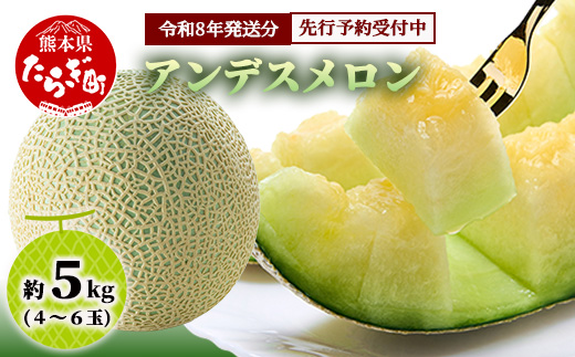 【2026年4月下旬〜順次発送 先行予約】アンデスメロン 4玉〜6玉（約5kg）多良木町 熊本県 メロン フルーツ 果物 期間限定 数量限定 108-0501