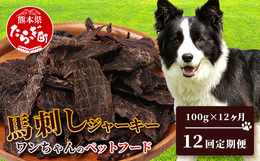 【 定期便12回 】ペット用 手作り 馬肉 ジャーキー 熊本加工 【 100g×12回 】 ドッグ フード ペット おやつ 食事 無添加 無香料 ヘルシー 高栄養 馬肉 ペット お肉専門店 1年 定期便 熊本県 馬肉 国内加工 041-0512