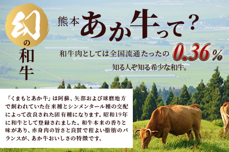 熊本あか牛 切り落とし 500g 国産 ブランド牛 肉 冷凍 熊本 熊本県産 あか牛 赤牛 切り落とし 牛肉 041-0143