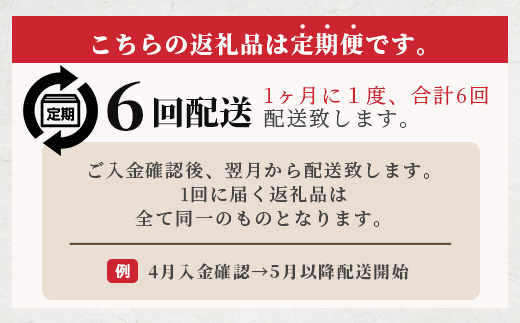 【 定期便6回 】 ペット用 手作り 馬肉 ジャーキー 熊本加工 【 100g ×6回 】 ドッグ フード ペット おやつ 食事 無添加 無香料 ヘルシー 高栄養 馬肉 ペット お肉専門店 熊本県 馬肉 国内加工 041-0511