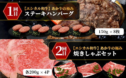 【 定期便6回 】【 エシカル和牛 】 あか牛の極み 食べ比べ定期便 【 合計6kg 】 ステーキハンバーグ 焼肉 食べ比べ 焼肉 しゃぶしゃぶ すき焼き 熊本 あか牛 牛肉 赤身 和牛 国産 033-0509