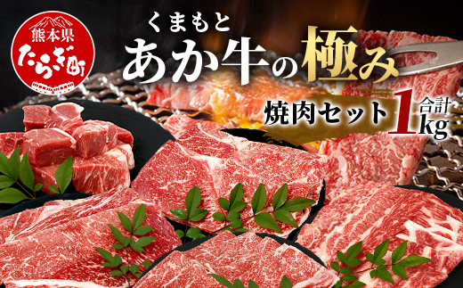 極みあか牛 ・ 焼き肉セット ( モモ ・ カルビ ・ 煮込用 ) 【 1kg 】 バラ カルビ モモ 焼肉 焼きしゃぶ 煮込み 熊本 あか牛 牛肉 赤身 和牛 国産 033-0504